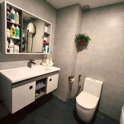 The Sunny Spring (D14), Apartment #607523741